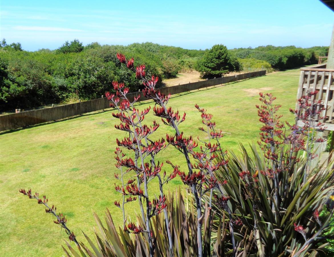 The Polynesian Resort Ocean Shores Esterno foto