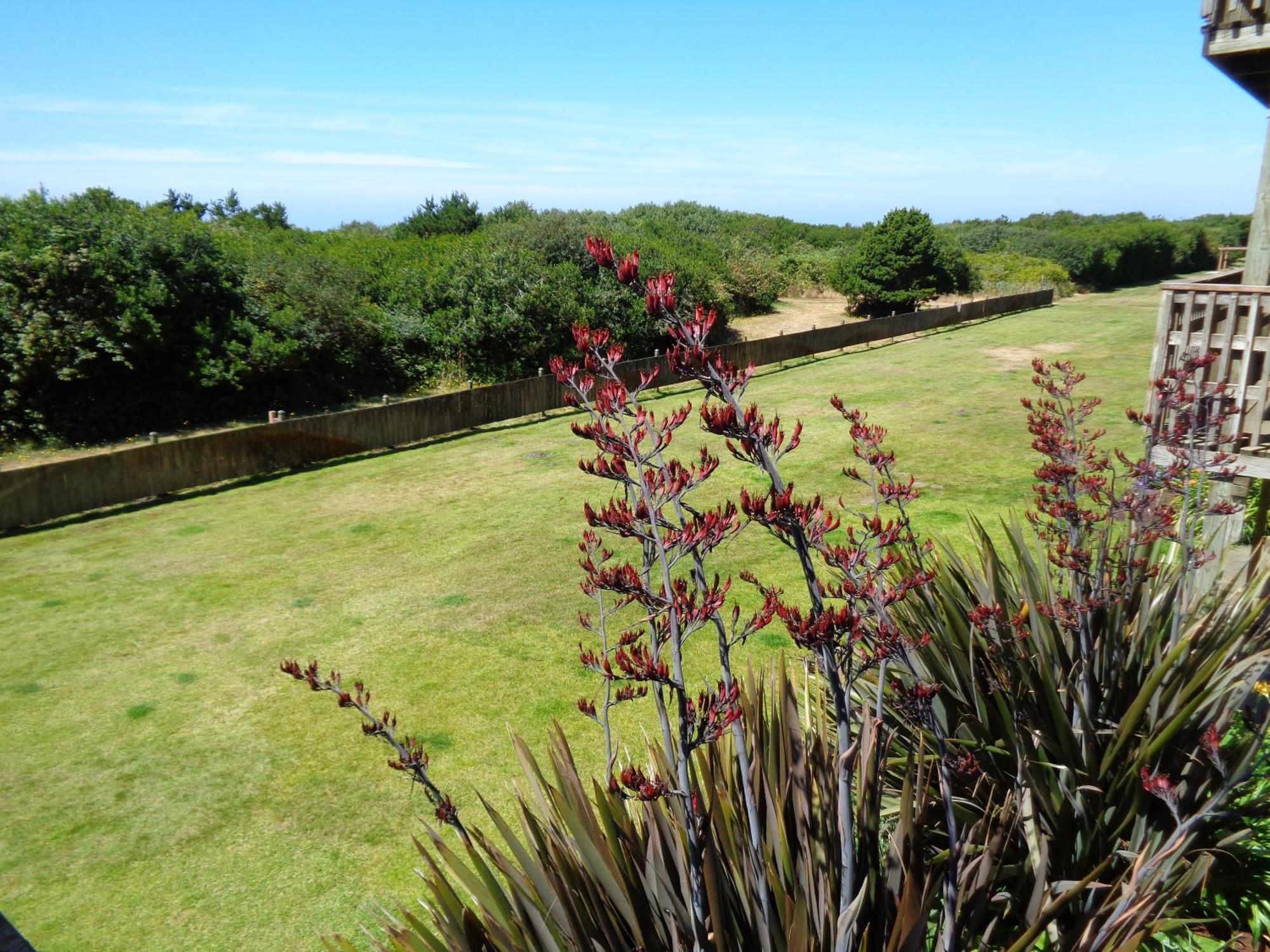 The Polynesian Resort Ocean Shores Esterno foto